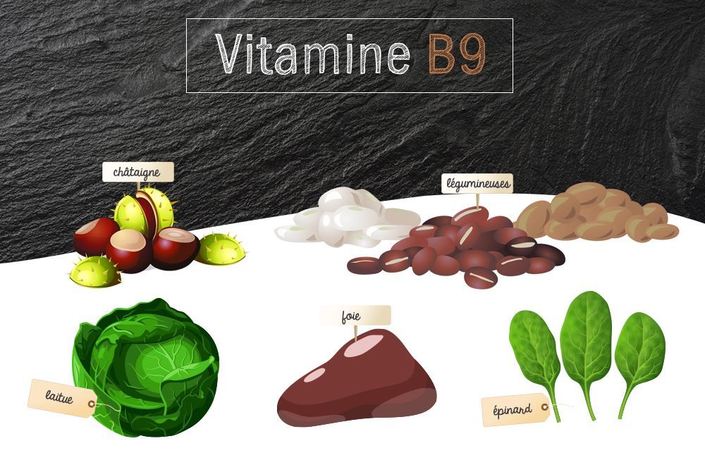 ZOOM sur la vitamine B9 (ou acide folique) Effinov Nutrition
